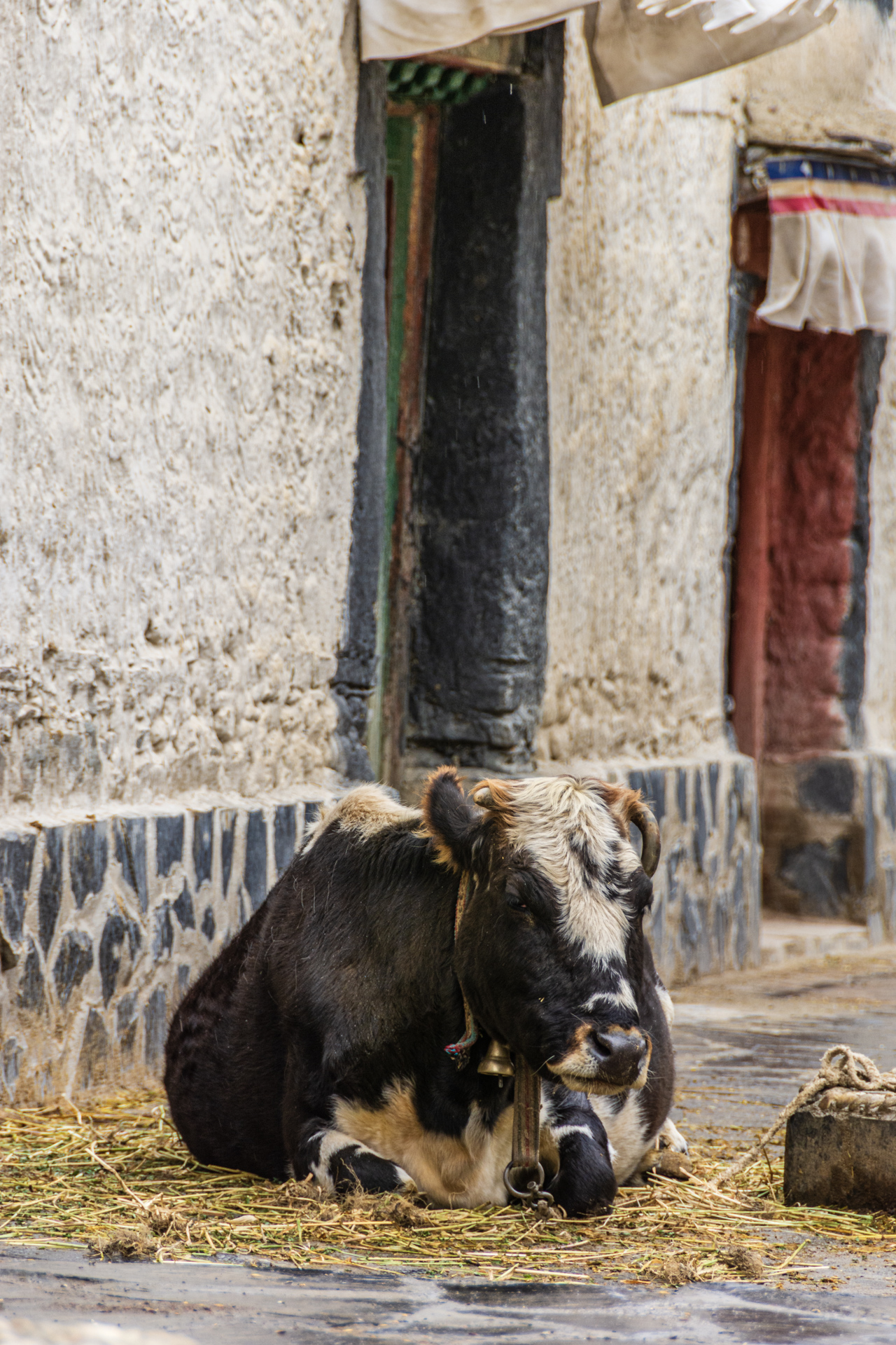 Gyantse Altstadt
